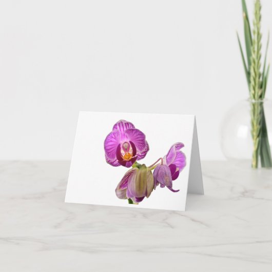 ミニチュア蘭のノート サンキューカード (正面)