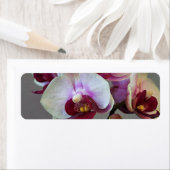 ミニチュア蘭 ラベル (インサイチュ)