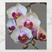 ミニチュア蘭 ワインラベル (シングルラベル)