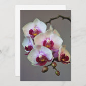 ミニチュア蘭 招待状 (正面/裏面)