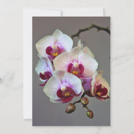 ミニチュア蘭 招待状