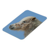 ミニチュア馬のヘッドショット マグネット (左側)