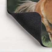 ミニチュア馬のランニング マウスパッド (コーナー)