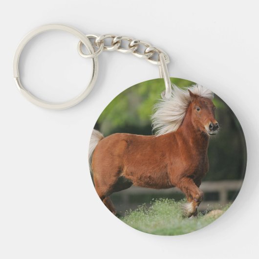 ミニチュア馬の地位 キーホルダー (正面)