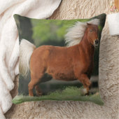 ミニチュア馬の地位 クッション (ブランケット)
