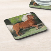 ミニチュア馬の地位 コースター (左側)