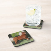 ミニチュア馬の地位 コースター (右側)