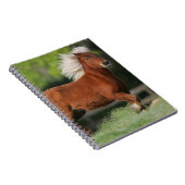 ミニチュア馬の地位 ノートブック (右側)