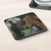 ミニチュア馬の接触 コースター (左側)