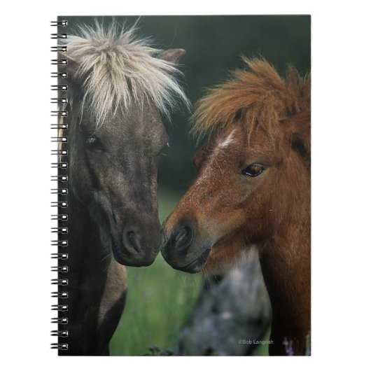 ミニチュア馬の接触 ノートブック (正面)
