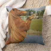 ミニチュア馬の養育 クッション (ブランケット)