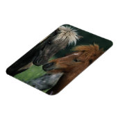 ミニチュア馬タッチ マグネット (左側)