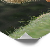 ミニチュア馬立ち ポスター (角)