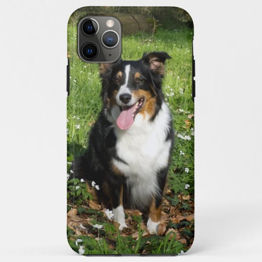 ミニチュア・アメリカン・シェパード ブラックトライ 座る Case-Mate iPhoneケース (裏面)
