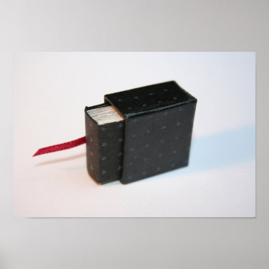 ミニチュア・アルティスの本とその箱のポスター ポスター (正面)