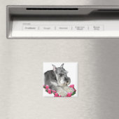 ミニチュア・シュナウザー・アート・ギフト マグネット (インサイチュ (食洗機))