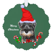 ミニチュア・シュナウザー・クリスマス