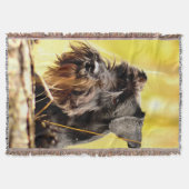 ミニチュア・シュナウザー スローブランケット (正面)
