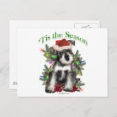 ミニチュア・シュナウザー・ティス ポストカード (正面/裏面)