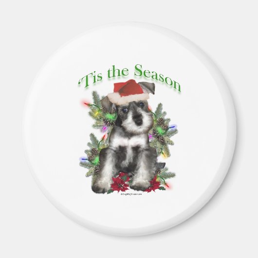 ミニチュア・シュナウザー・ティス マグネット (正面)