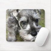 ミニチュア・シュナウツァーの子犬のマウスパッド マウスパッド (マウス)