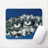 ミニチュア・シュナウツァーの子犬 マウスパッド (マウス)