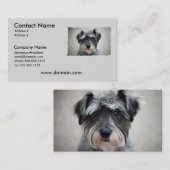 ミニチュア・シュナウツァー犬の名刺 名刺 (正面/裏面)