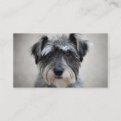 ミニチュア・シュナウツァー犬の名刺 名刺 (裏面)