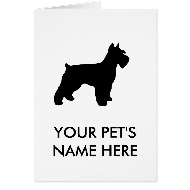 ミニチュア・シュナウツァー (正面)