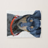 ミニチュア・ピンシャーの黒およびブラウン ジグソーパズル (横)