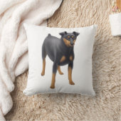 ミニチュア・ピンシャー最低Pinの枕 クッション (ブランケット)