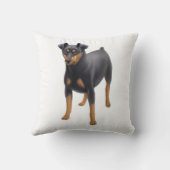 ミニチュア・ピンシャー最低Pinの枕 クッション (裏面)