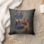 ミニチュア・ピンシャー クッション (ブランケット)