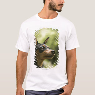 ミニチュア・ピンシャー(分Pin) 2 Tシャツ