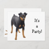 ミニチュア・ピンシャー 招待状 (正面/裏面)