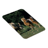 ミニチュア・フォール群 マグネット (右側)