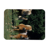 ミニチュア・フォール群 マグネット (横)