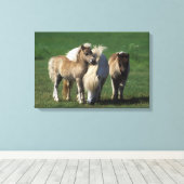 ミニチュア・マーレ&フォール1 キャンバスプリント (インサイチュ (ウッドフロア))