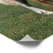 ミニチュア・マーレ&フォール1 ポスター (角)