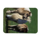 ミニチュア・マーレ&フォール1 マグネット (横)