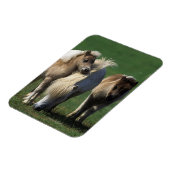 ミニチュア・マーレ&フォール1 マグネット (左側)