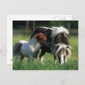 ミニチュア・マーレ&フォール2 ポストカード (正面/裏面)