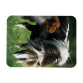 ミニチュア・マーレ&フォール2 マグネット (横)