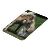 ミニチュア・マーレ&フォール3 マグネット (左側)