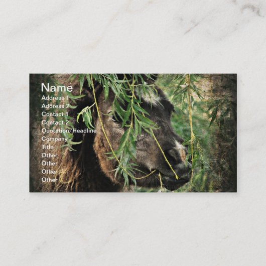ミニチュア 馬 怒りやすい 名刺 (正面)