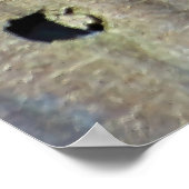 ミニドラゴンバトル ポスター (角)