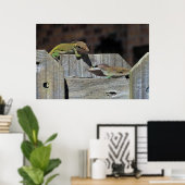 ミニドラゴンバトル ポスター (ホームオフィス)