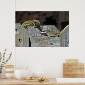 ミニドラゴンバトル ポスター (キッチン)