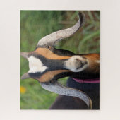 ミニヌビカラフルア乳製品ヤギの子 ジグソーパズル (縦)