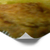 ミニハム&チーズサミー ポスター (角)